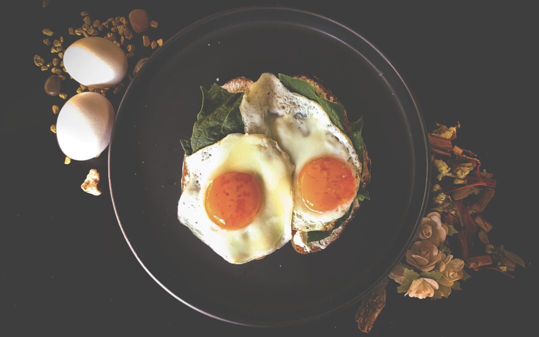 HERE’S  WHY High-quality Protein is Your Body’s Best Friend, Part II